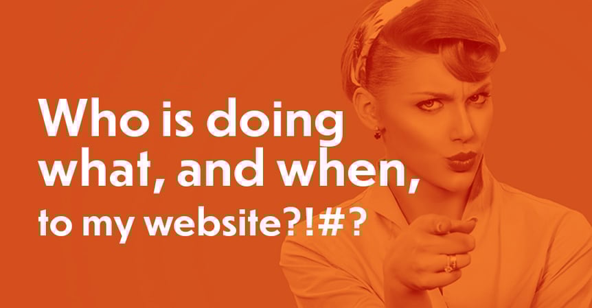 Featured image for “What is a website governance framework and why does my company need one?”